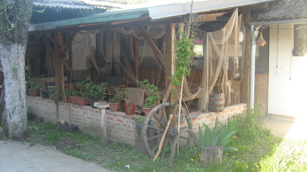 Farm Stay Lackovic ビリェ エクステリア 写真