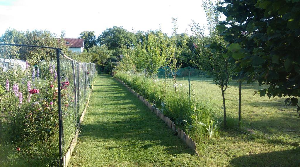 Farm Stay Lackovic ビリェ エクステリア 写真