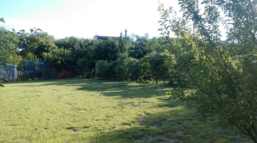 Farm Stay Lackovic ビリェ エクステリア 写真