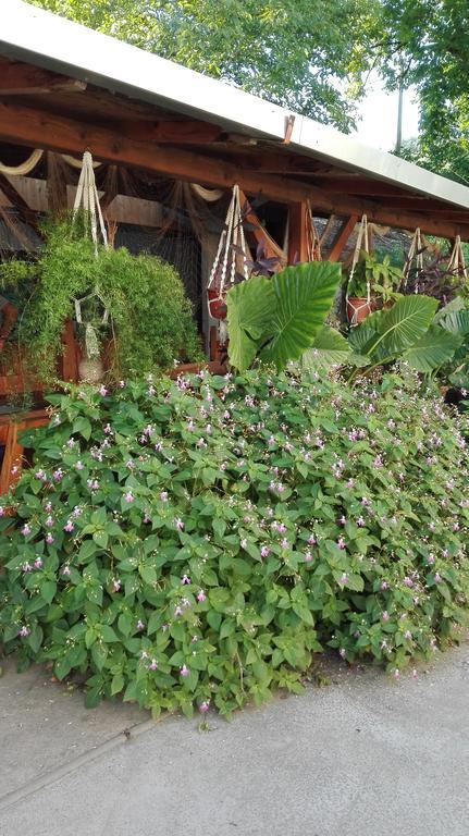 Farm Stay Lackovic ビリェ エクステリア 写真